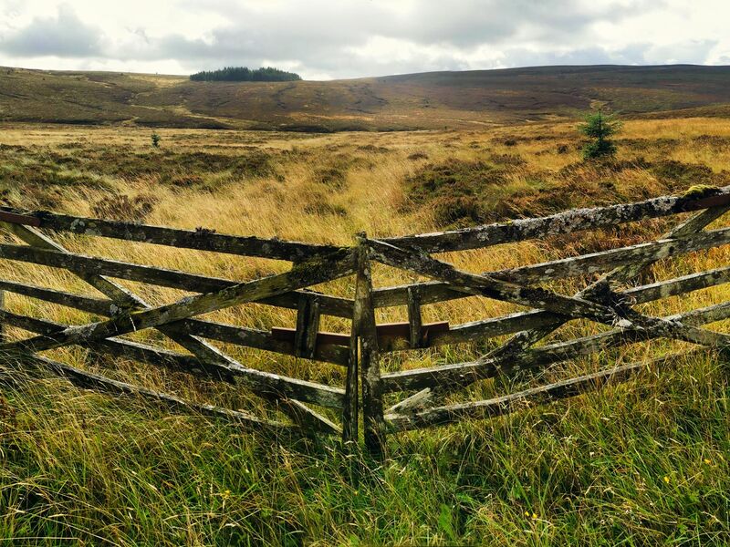 Kielder Forest Road
