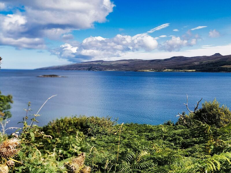 Wildstehen am Braes Beach