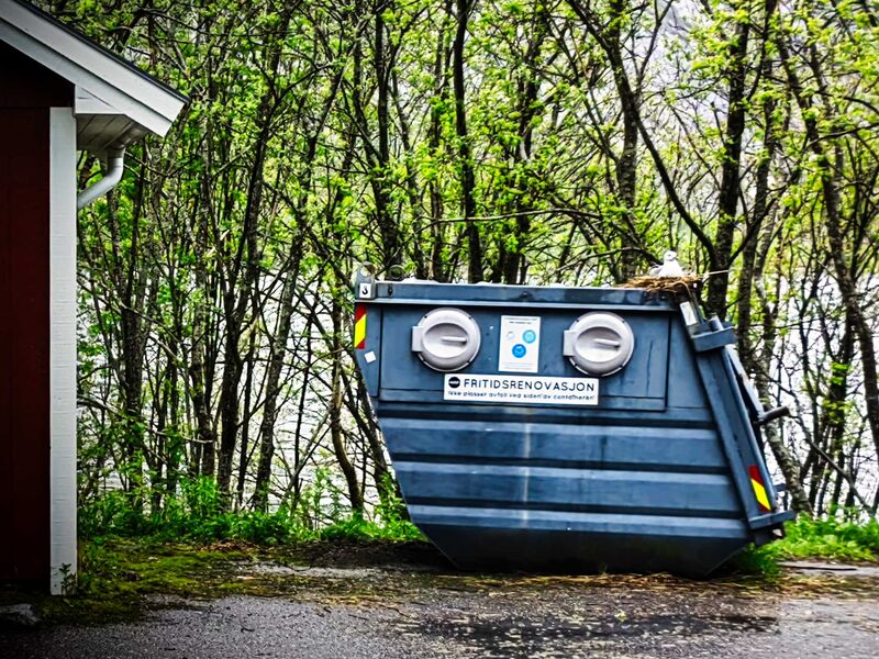 Müllentsorgen unter Lebensgefahr