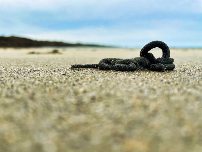 Wattwurm Architektur