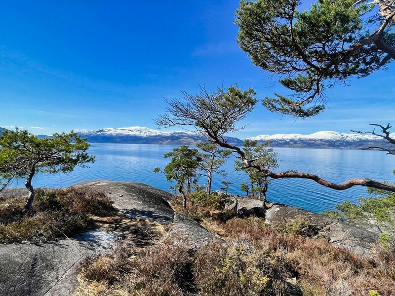 Am Hardangerfjord