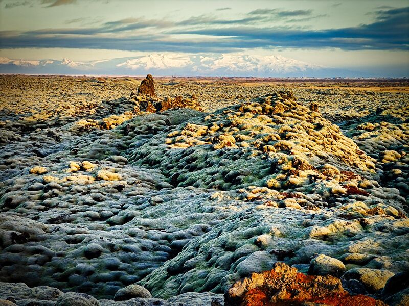 Mooslandschaft