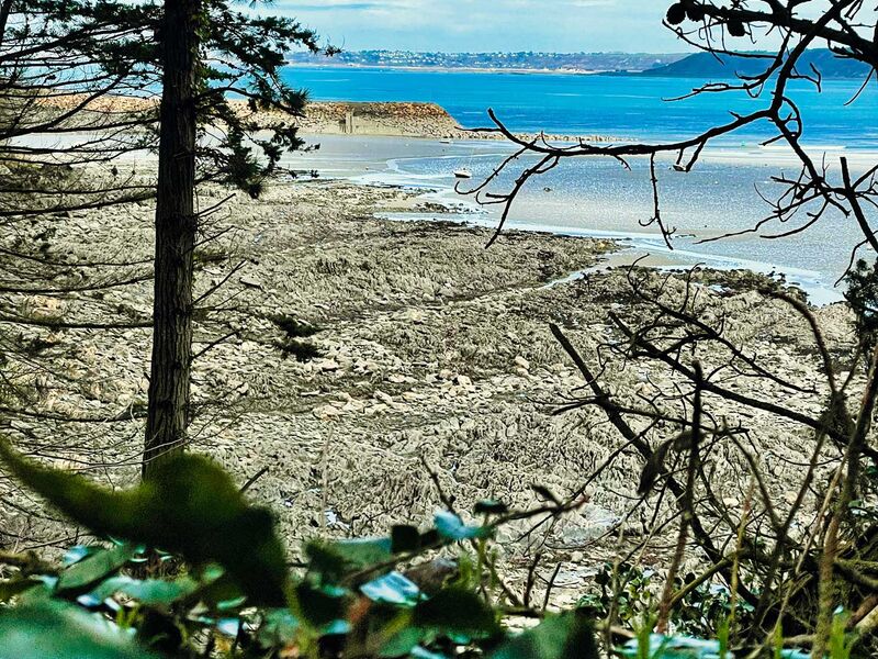 Wanderung in Plestin-les-Greves