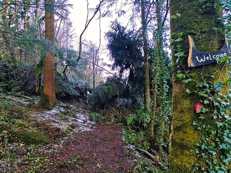 Nach dem Sturm Éowyn