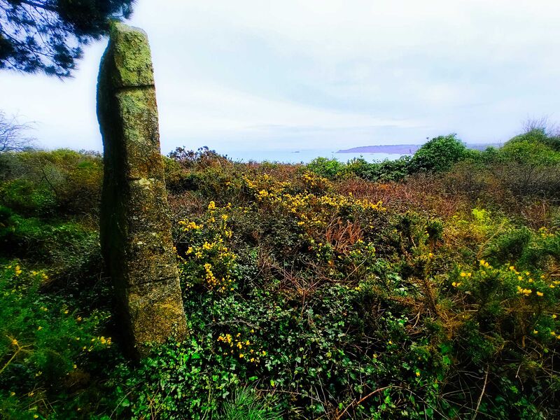 Cache "Un Frankenstein en France"