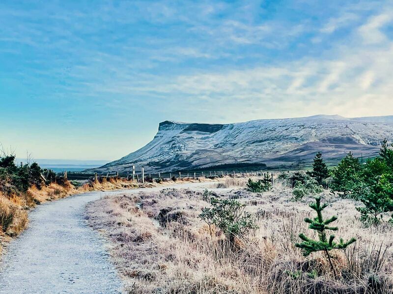Benbulben Forest Walk