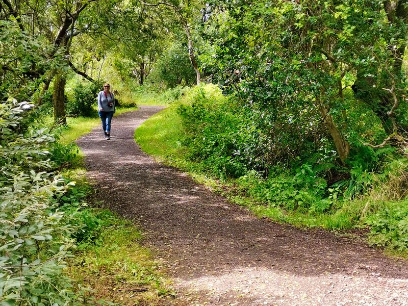 Im Caerlaverock Castle Wald