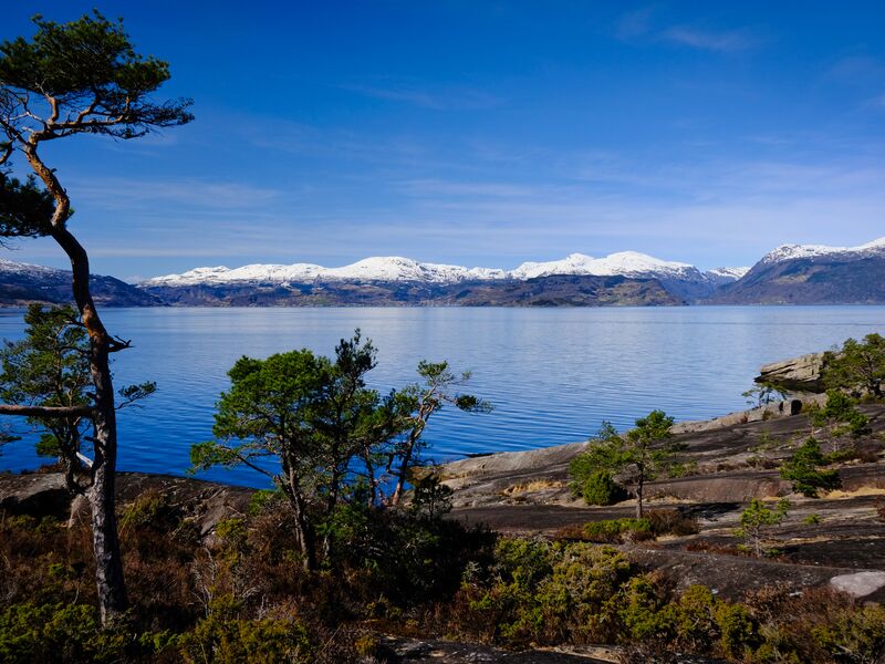 Am Hardangerfjord
